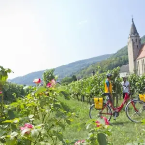 Explore Danube Cycle Path with Charm for 8 days with Eurobike and discover unforgettable experiences - Photo 10