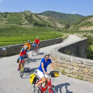 Explore Danube Cycle Path with Charm for 8 days with Eurobike and discover unforgettable experiences - Photo 11