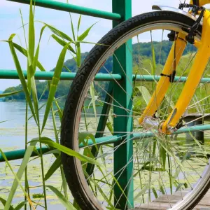 Explore Salzburg's Lake District - based in one hotel for 7 days with Eurobike and discover unforgettable experiences - Photo 7