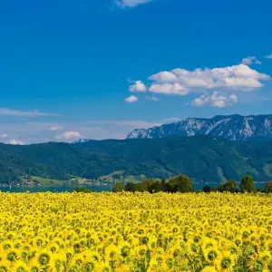 Explore Salzkammergut Tour for 8 days with Eurobike and discover unforgettable experiences - Photo 8