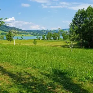 Explore Salzburg's Lake District - based in one hotel for 7 days with Eurobike and discover unforgettable experiences - Photo 9