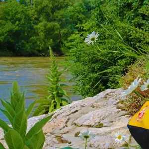 Explore Southern Styria based in one hotel for 7 days with Eurobike and discover unforgettable experiences - Photo 8