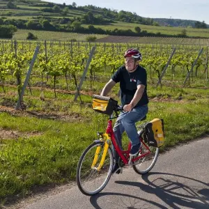 Explore Neckar, Rhine & Vines for 8 days with Eurobike and discover unforgettable experiences - Photo 6