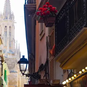 Explore Majorca Bull's Eye for 8 days with Eurobike and discover unforgettable experiences - Photo 9