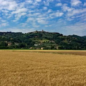 Explore Umbria based in one hotel for 7 days with Eurobike and discover unforgettable experiences - Photo 2