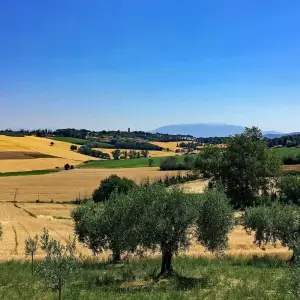 Explore Umbria based in one hotel for 7 days with Eurobike and discover unforgettable experiences - Photo 3