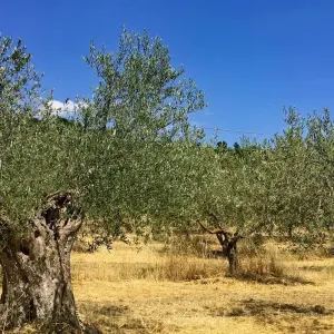 Explore Umbria based in one hotel for 7 days with Eurobike and discover unforgettable experiences - Photo 6