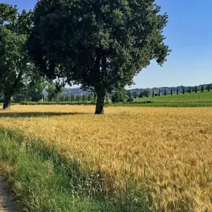 Explore Umbria based in one hotel for 7 days with Eurobike and discover unforgettable experiences - Photo 9