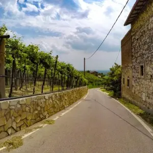 Explore Innsbruck – Venice for 10 days with Eurobike and discover unforgettable experiences - Photo 3