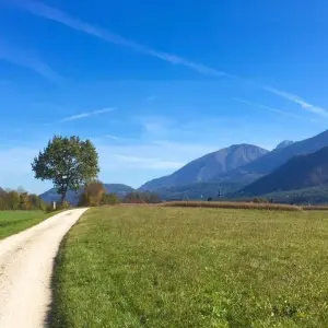 Explore Drau-Cycle Path Sportive for 6 days with Eurobike and discover unforgettable experiences - Photo 7