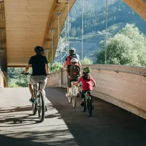 Explore Drau-Cycle Path for Families for 7 days with Eurobike and discover unforgettable experiences - Photo 7