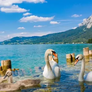 Explore The Lakes Tour with Charm for 8 days with Eurobike and discover unforgettable experiences - Photo 4