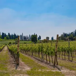 Explore Lake Garda – based in one hotel: Trento, Verona, Mantua and Brescia. for 7 days with Eurobike and discover unforgettable experiences - Photo 3