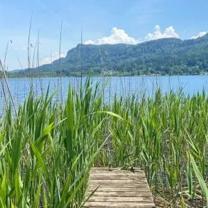 Explore Alpe - Adria Cycle Route I for Families, Salzburg - Villach for 8 days with Eurobike and discover unforgettable experiences - Photo 2