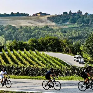 Explore Palatinate Wine Star Tour for 7 days with Eurobike and discover unforgettable experiences - Photo 5