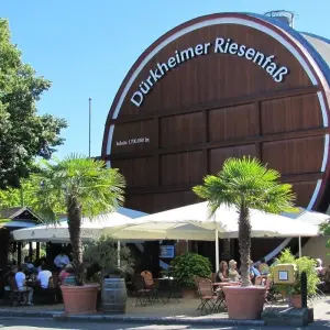 Explore Palatinate Wine Star Tour for 7 days with Eurobike and discover unforgettable experiences - Photo 6