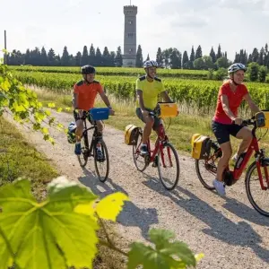 Explore Around Lake Garda for 7 days with Eurobike and discover unforgettable experiences - Photo 7