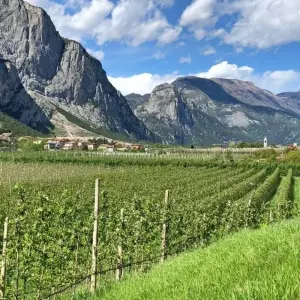 Explore Around Lake Garda for 7 days with Eurobike and discover unforgettable experiences - Photo 9