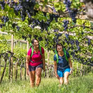 Explore Verona - Lake Garda for 7 days with Eurohike and discover unforgettable experiences - Photo 9