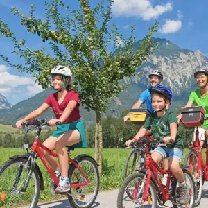 Explore Alpe - Adria Cycle Route I for Families, Salzburg - Villach for 8 days with Eurobike and discover unforgettable experiences - Photo 11