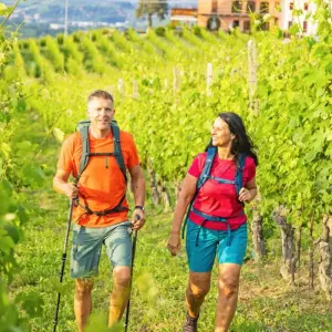 Explore Verona - Lake Garda for 7 days with Eurohike and discover unforgettable experiences - Photo 10