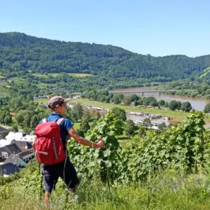 Explore Moselle and Eifel Trail for 7 days with Eurohike and discover unforgettable experiences - Photo 11