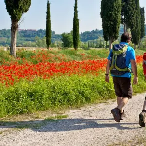 Explore Verona - Lake Garda for 7 days with Eurohike and discover unforgettable experiences - Photo 11