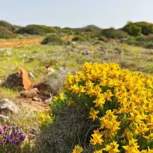 Explore Rota Vicentina for 8 days with Eurohike and discover unforgettable experiences - Photo 2