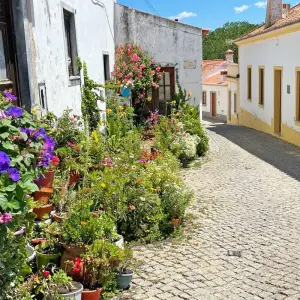 Explore Rota Vicentina for 8 days with Eurohike and discover unforgettable experiences - Photo 7