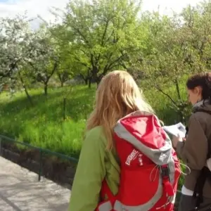 Explore World Heritage Trail Wachau Charm for 5 days with Eurohike and discover unforgettable experiences - Photo 11