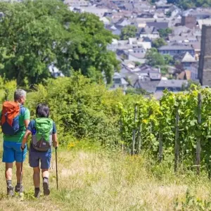Explore Rhine Walking: Rüdesheim - Koblenz for 8 days with Eurohike and discover unforgettable experiences - Photo 3