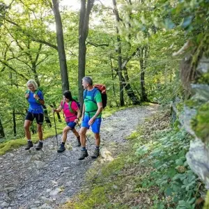 Explore Rhine Walking: Rüdesheim - Koblenz for 8 days with Eurohike and discover unforgettable experiences - Photo 6