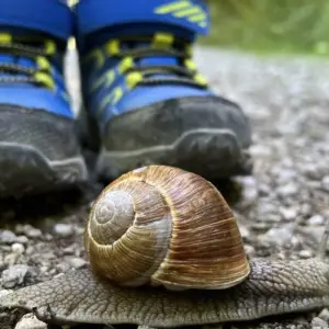 Explore Bavaria For Families for 7 days with Eurohike and discover unforgettable experiences - Photo 5