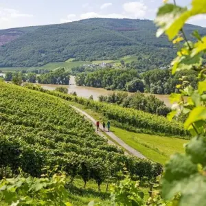 Explore Rhine Walking: Rüdesheim - Koblenz for 8 days with Eurohike and discover unforgettable experiences - Photo 8