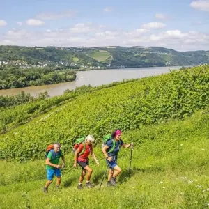 Explore Rhine Walking: Rüdesheim - Koblenz for 8 days with Eurohike and discover unforgettable experiences - Photo 10