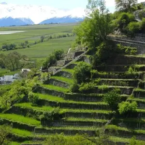 Explore South Tyrol For Families for 8 days with Eurohike and discover unforgettable experiences - Photo 5