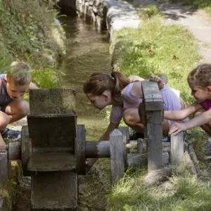 Explore South Tyrol For Families for 8 days with Eurohike and discover unforgettable experiences - Photo 6