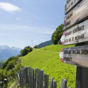 Explore South Tyrol For Families for 8 days with Eurohike and discover unforgettable experiences - Photo 7