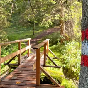 Explore Enchanting Kitzbühel with Charm for 7 days with Eurohike and discover unforgettable experiences - Photo 6