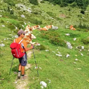 Explore Enchanting Kitzbühel with Charm for 7 days with Eurohike and discover unforgettable experiences - Photo 11