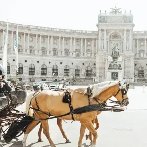 Explore Krakow to Vienna: Hostel Week Group Tour for 8 days with Euroventure Travel and discover unforgettable experiences - Photo 3
