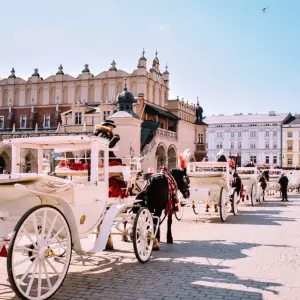 Explore Krakow to Vienna: Hostel Week Group Tour for 8 days with Euroventure Travel and discover unforgettable experiences - Photo 7