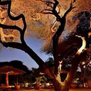 Explore 7 Days Kenya And Tanzania Migration Lodge Safari for 7 days with Exciting Africa Holidays and discover unforgettable experiences - Photo 2