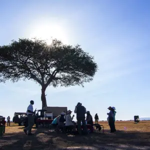 Explore 03 Days Kenya  Migration Safari - Fly-in Tour for 3 days with Exciting Africa Holidays and discover unforgettable experiences - Photo 2