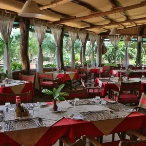 Explore 20 Days Kenya & Tanzania Seniors Safari Tour for 20 days with Exciting Africa Holidays and discover unforgettable experiences - Photo 5