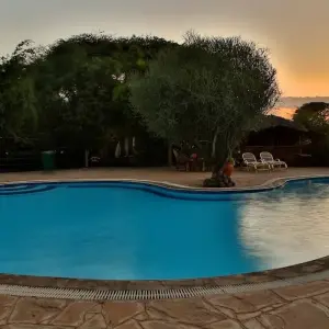 Explore 03 Days Kenya  Migration Safari - Fly-in Tour for 3 days with Exciting Africa Holidays and discover unforgettable experiences - Photo 4