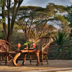 Explore 20 Days Kenya & Tanzania Seniors Safari Tour for 20 days with Exciting Africa Holidays and discover unforgettable experiences - Photo 8