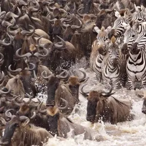 Explore 5 Day Mid - Range Best of Tanzania Safari for 5 days with Exodus African Safari and discover unforgettable experiences - Photo 5