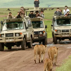 Explore 5 Days Marangu Route on Kilimanjaro (Coca- Cola route) for 5 days with Exodus African Safari and discover unforgettable experiences - Photo 10
