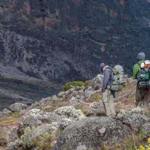 Explore Kilimanjaro Treks, 7-Days Lemosho Route for 7 days with Exodus African Safari and discover unforgettable experiences - Photo 11